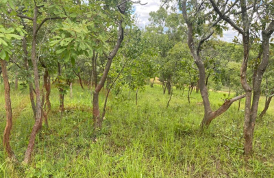 4.7 Acres for sale in Beresford Estate Lilayi – Lusaka