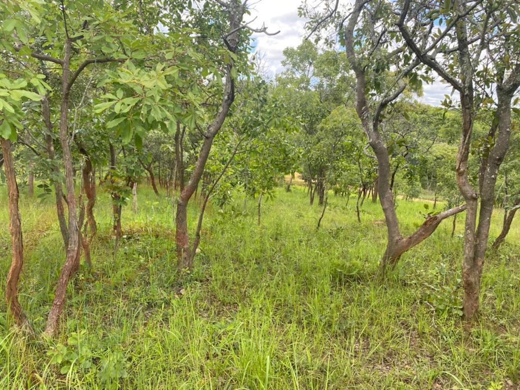 4.7 Acres for sale in Beresford Estate Lilayi – Lusaka