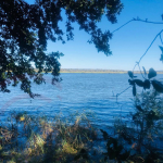 6.6 Zambezi River for sale - 095