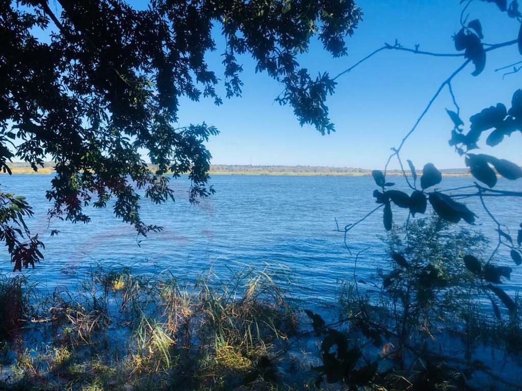 6.6 Zambezi River for sale - 095