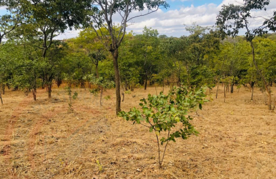 4.7 Acres for sale in Beresford Estate Lilayi – Lusaka
