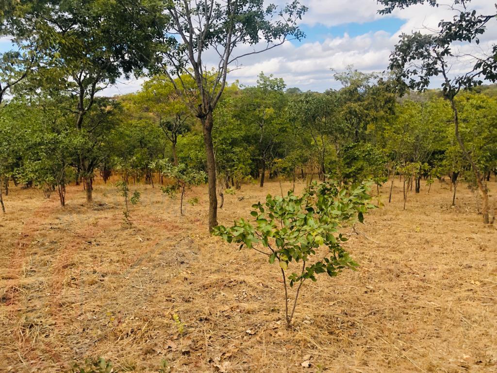 4.7 Acres for sale in Beresford Estate Lilayi – Lusaka