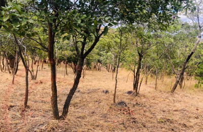 4.7 Acres for sale in Beresford Estate Lilayi – Lusaka
