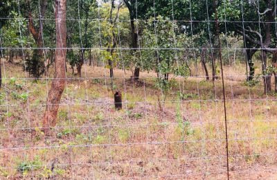4.7 Acres for sale in Beresford Estate Lilayi – Lusaka
