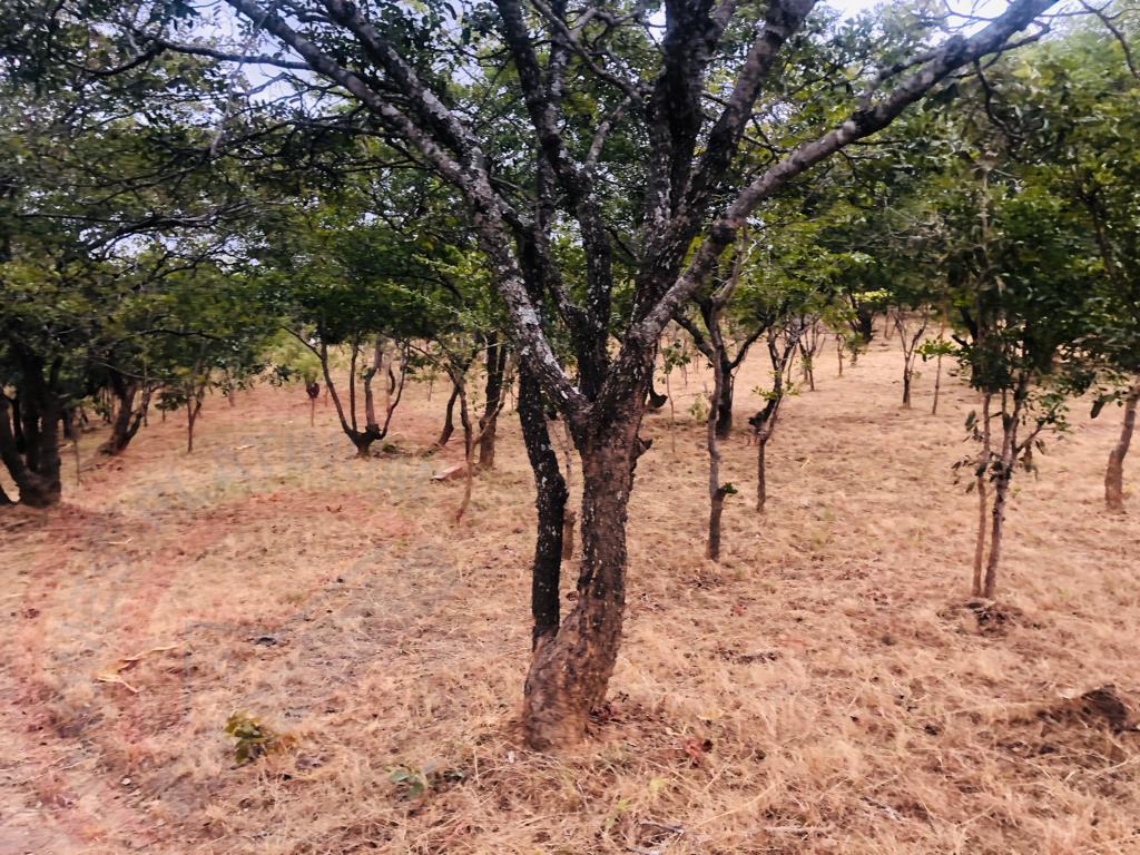 4.7 Acres for sale in Beresford Estate Lilayi – Lusaka