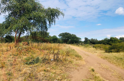16 Acre Small Holding for sale in Livingstone