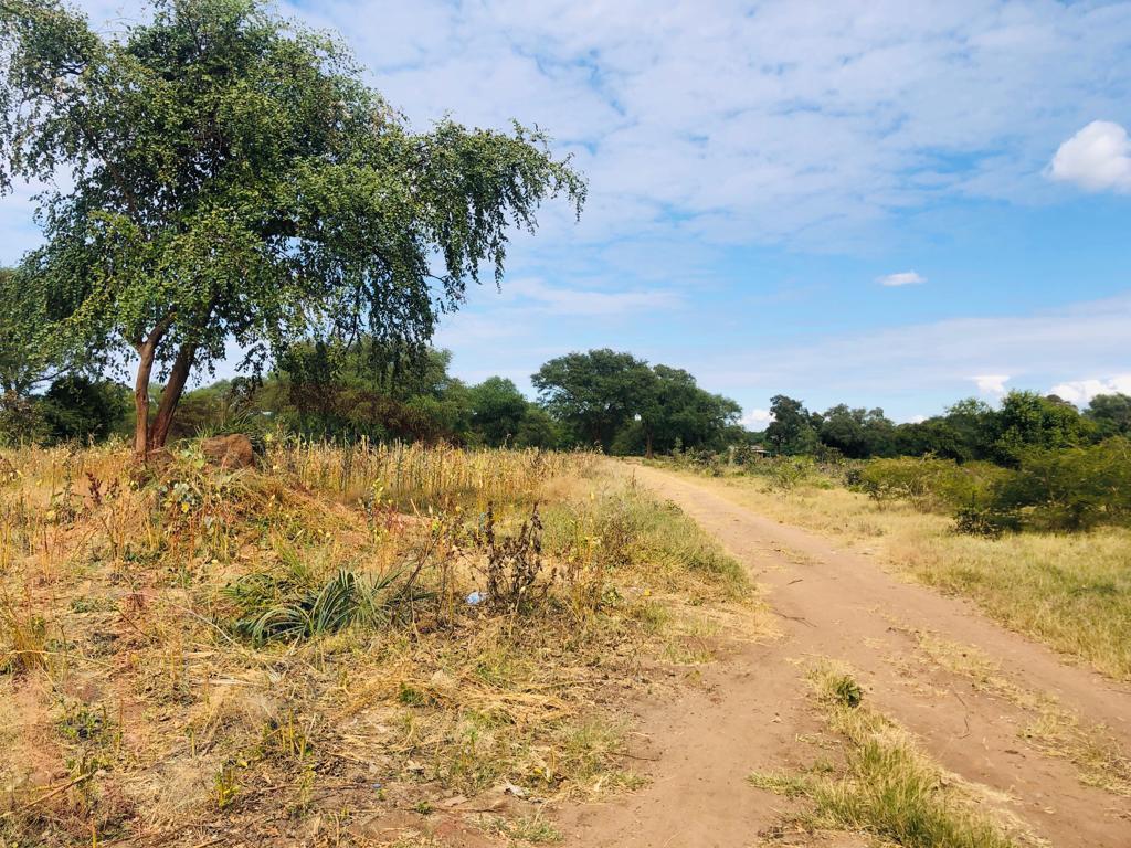 16 Acre Small Holding for sale in Livingstone