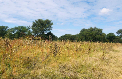 16 Acre Small Holding for sale in Livingstone