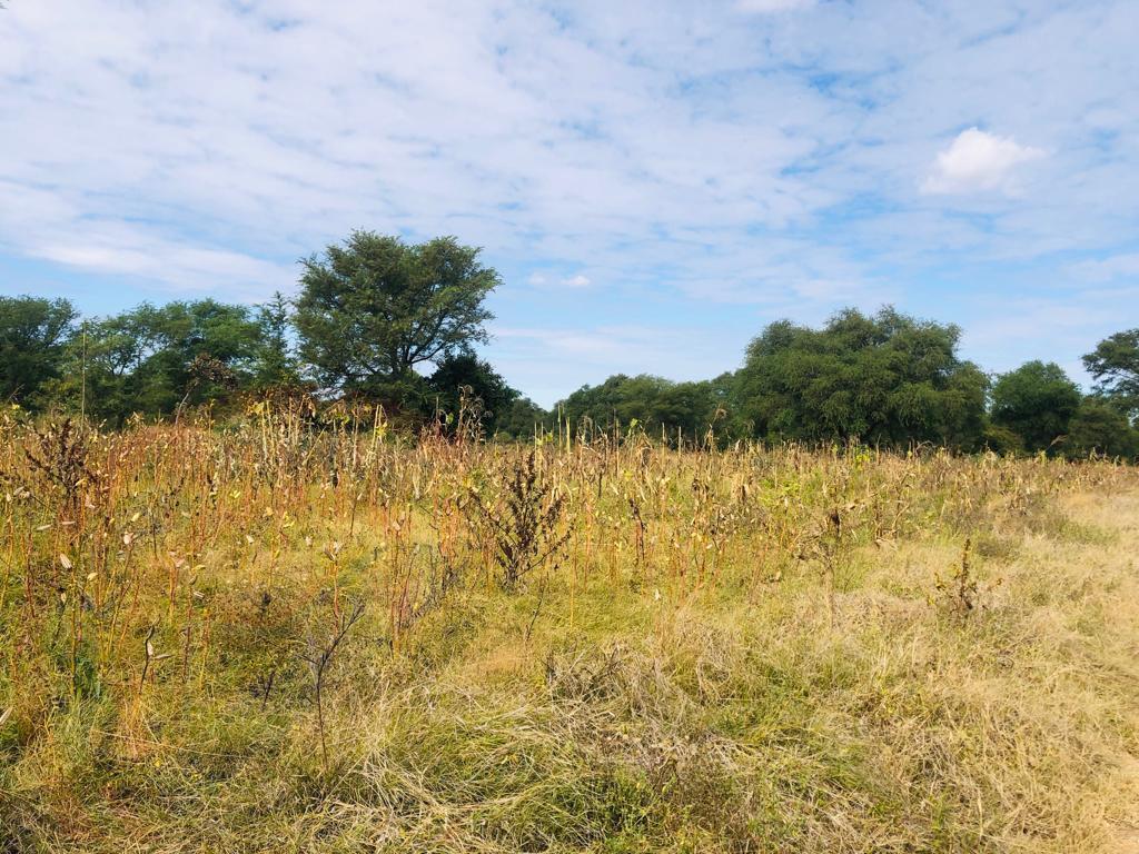 16 Acre Small Holding for sale in Livingstone