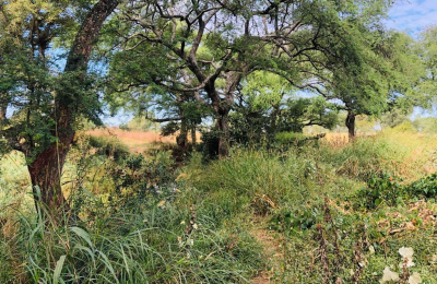 16 Acre Small Holding for sale in Livingstone