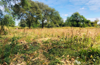 16 Acre Small Holding for sale in Livingstone
