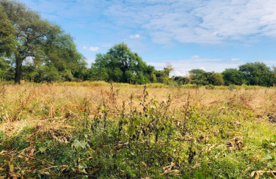 16 Acre Small Holding for sale in Livingstone