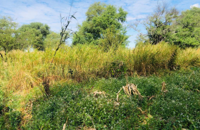 16 Acre Small Holding for sale in Livingstone