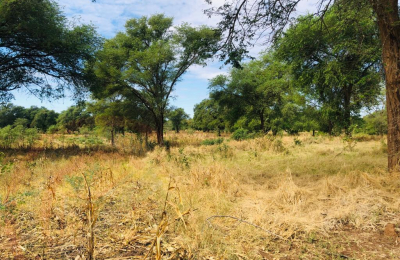 16 Acre Small Holding for sale in Livingstone