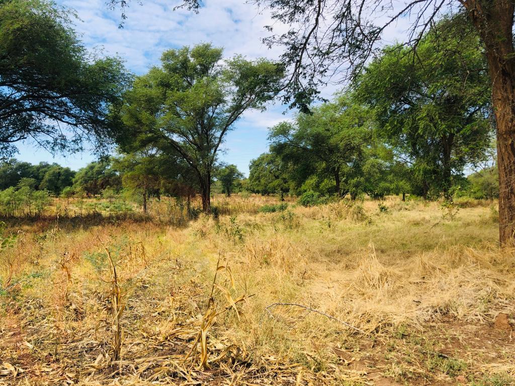 16 Acre Small Holding for sale in Livingstone