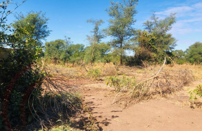 16 Acre Small Holding for sale in Livingstone
