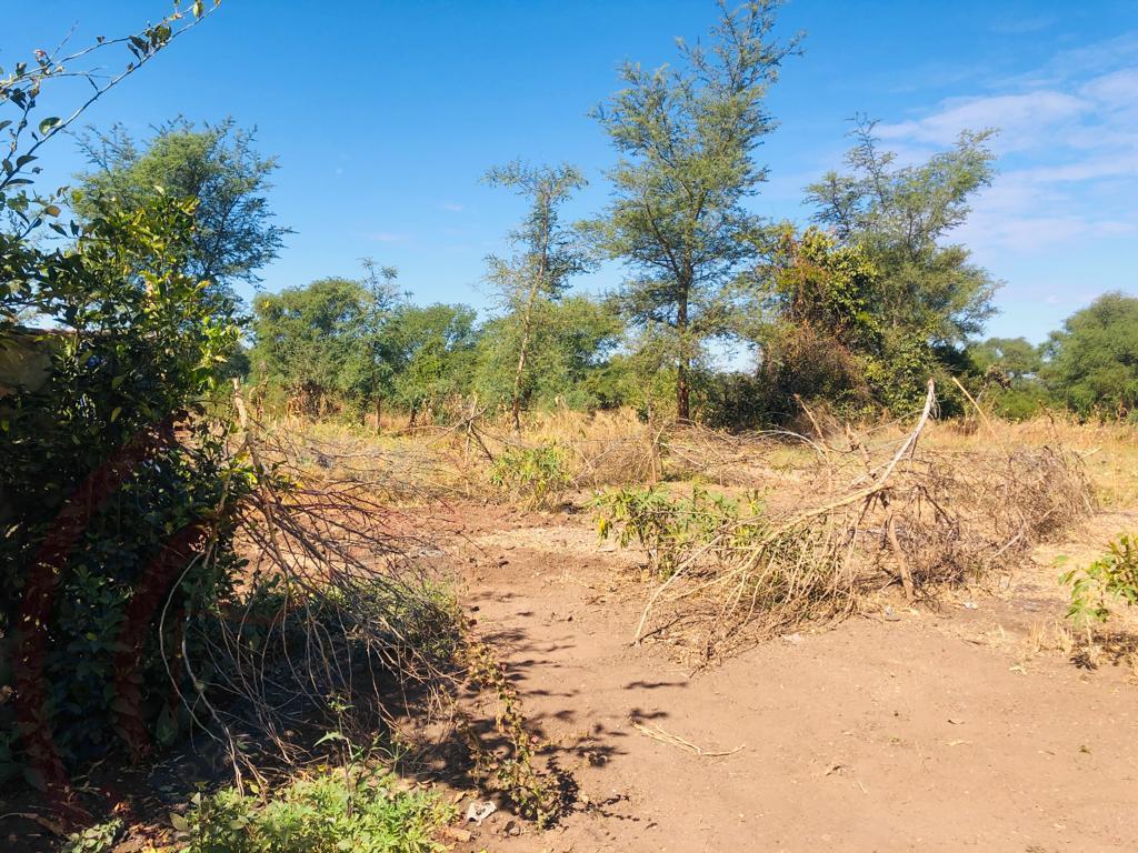 16 Acre Small Holding for sale in Livingstone