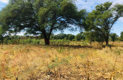 16 Acre Small Holding for sale in Livingstone