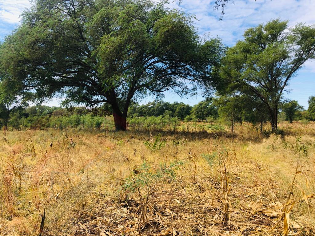 16 Acre Small Holding for sale in Livingstone