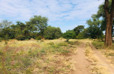 16 Acre Small Holding for sale in Livingstone