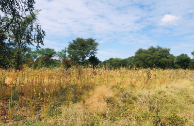 16 Acre Small Holding for sale in Livingstone