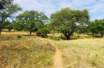 16 Acre Small Holding for sale in Livingstone
