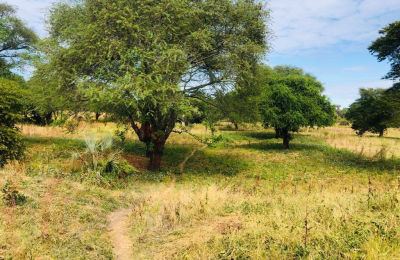 16 Acre Small Holding for sale in Livingstone