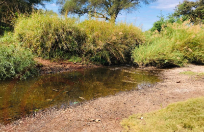 16 Acre Small Holding for sale in Livingstone