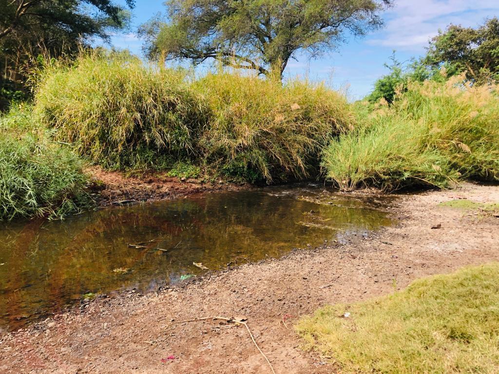 16 Acre Small Holding for sale in Livingstone