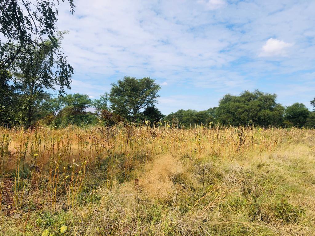 16 Acre Small Holding for sale in Livingstone