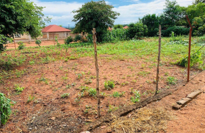 House for sale in Highlands – Livingstone
