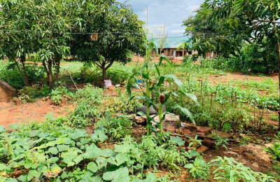 House for sale in Highlands – Livingstone