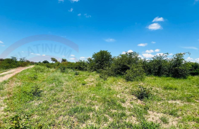 20 Acres Prime Land for sale in Livingstone