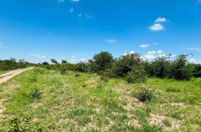 20 Acres Prime Land for sale in Livingstone