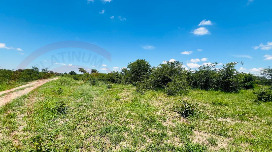 20 Acres Prime Land for sale in Livingstone