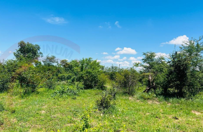 20 Acres Prime Land for sale in Livingstone