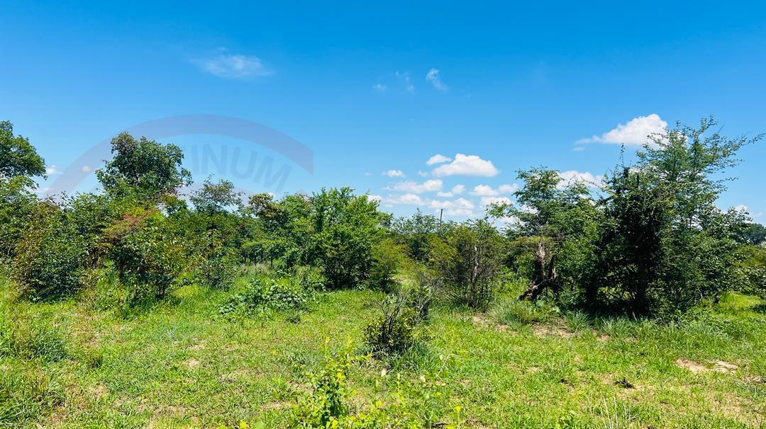 20 Acres Prime Land for sale in Livingstone