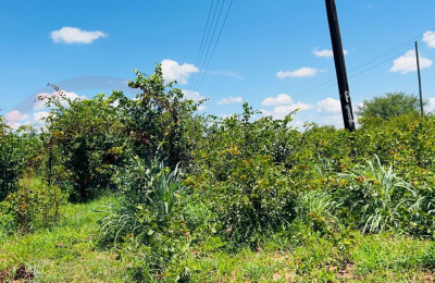 20 Acres Prime Land for sale in Livingstone