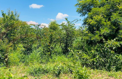 20 Acres Prime Land for sale in Livingstone