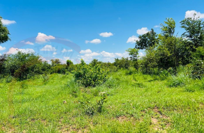 20 Acres Prime Land for sale in Livingstone