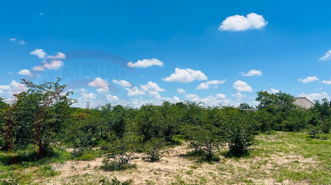 20 Acres Prime Land for sale in Livingstone