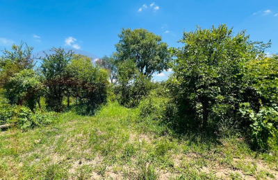 20 Acres Prime Land for sale in Livingstone