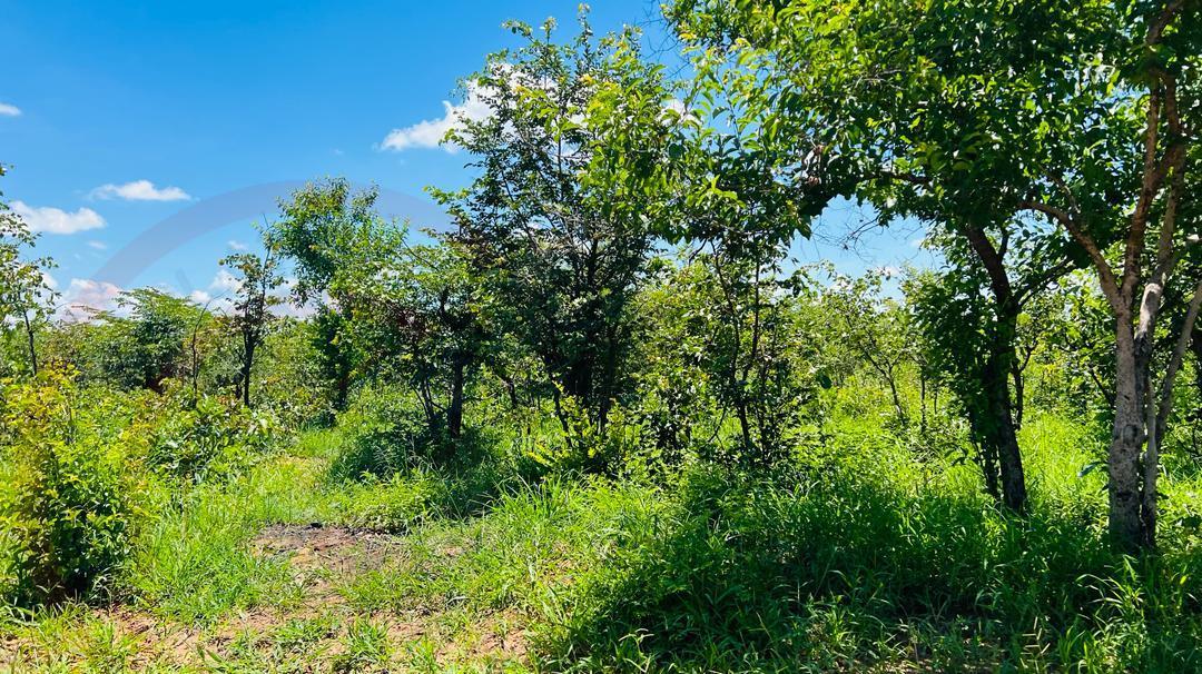 20 Acres Prime Land for sale in Livingstone