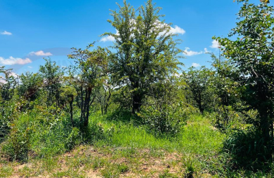 20 Acres Prime Land for sale in Livingstone