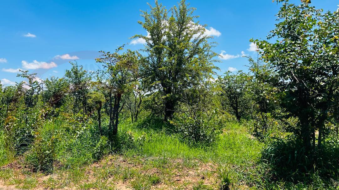 20 Acres Prime Land for sale in Livingstone