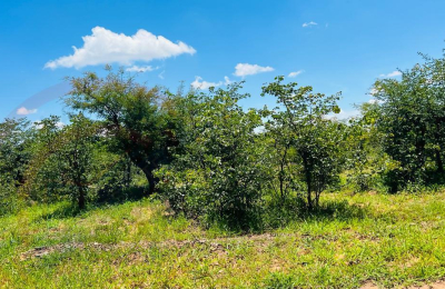 20 Acres Prime Land for sale in Livingstone