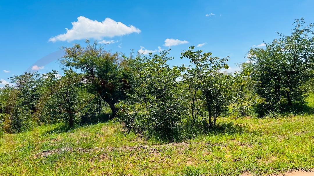 20 Acres Prime Land for sale in Livingstone