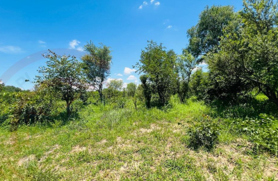 20 Acres Prime Land for sale in Livingstone