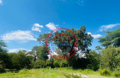 5 Acres Zambezi Water front