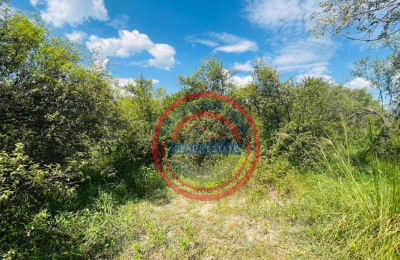 5 Acres Zambezi Water front